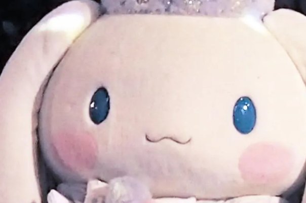 玉桂狗排名第几