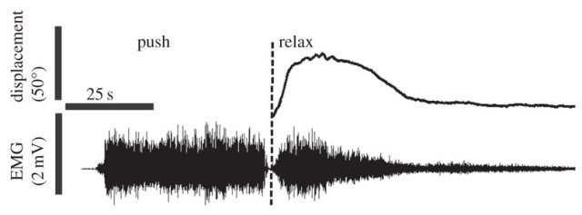 把手臂按压在墙上待一段时间，放下后还会莫名抬起，这种现象怎么回事？