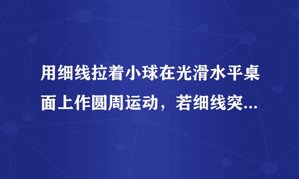 用细线拉着小球在光滑水平桌面上作圆周运动，若细线突然断了，那么小球将（　　）A．立即停下来B．速度逐