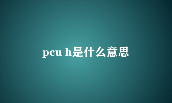 pcu h是什么意思