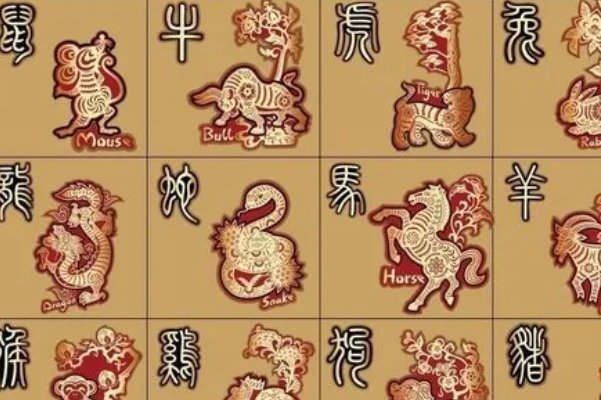 气象一新什么动物