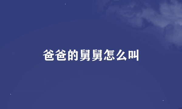爸爸的舅舅怎么叫