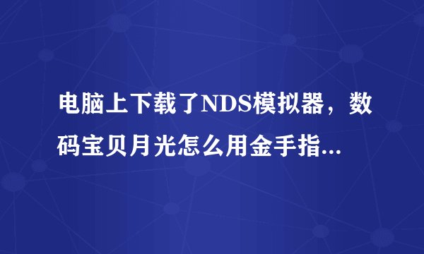电脑上下载了NDS模拟器，数码宝贝月光怎么用金手指，求详细过程