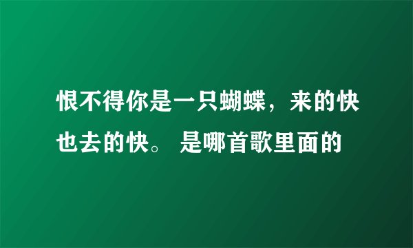 恨不得你是一只蝴蝶，来的快也去的快。 是哪首歌里面的