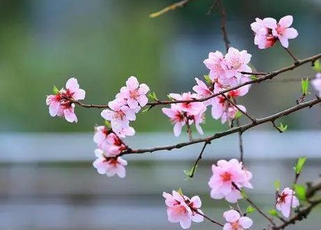 春风吹仿照例子写词语怎么写？