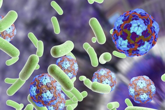 抑菌是什么意思