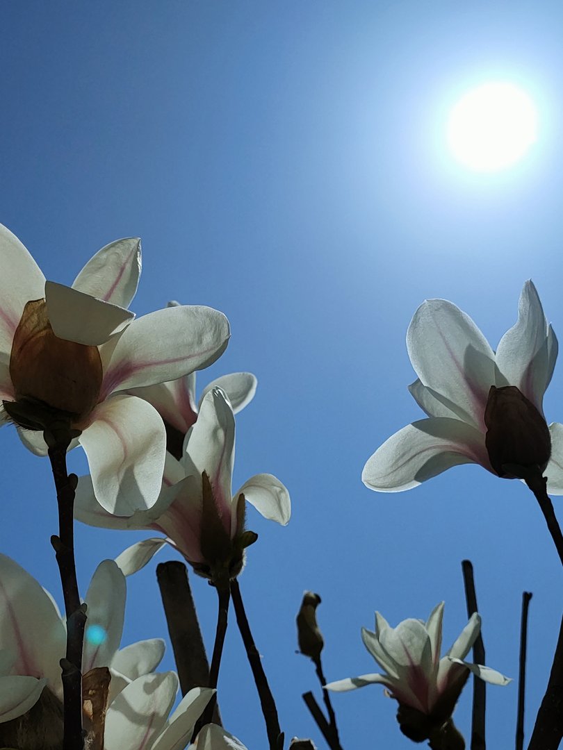 饮湖上初晴后雨是什么季节写的诗句