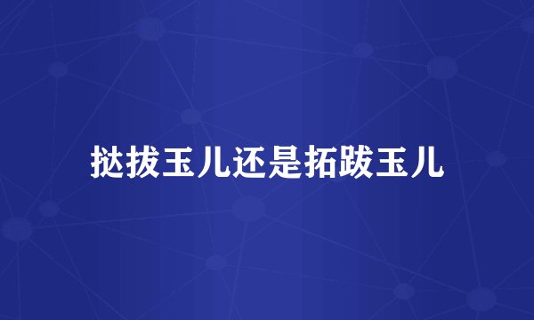 挞拔玉儿还是拓跋玉儿