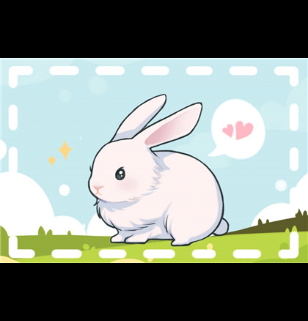 后院起火是什么生肖