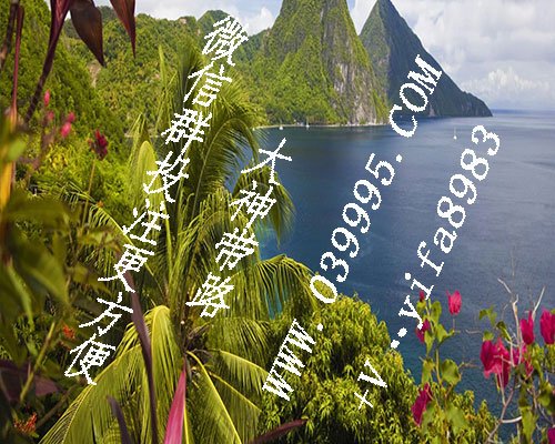 块儿八毛第一手欲钱料”块儿八毛打一生肖或猜一动物