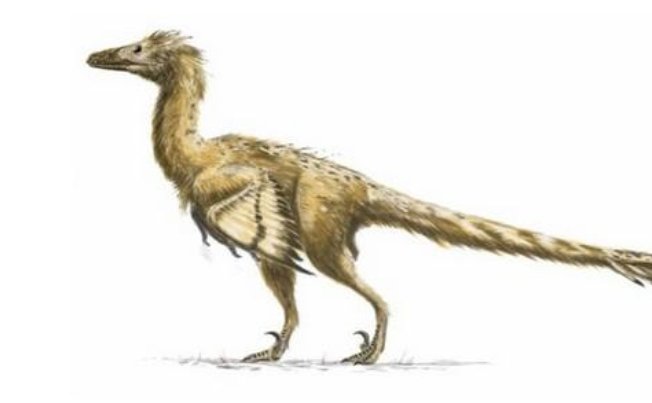 恐龙有哪些种类和名字