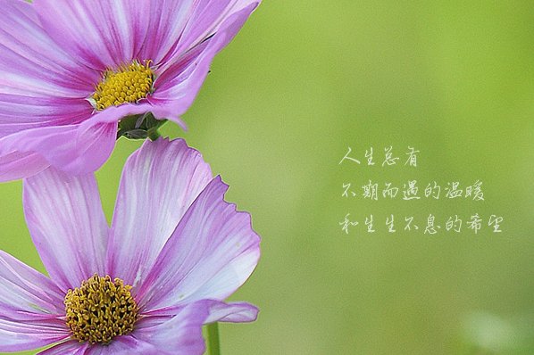 九月开头的唯美句子朋友圈