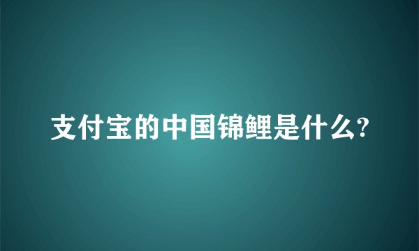 支付宝的中国锦鲤是什么?