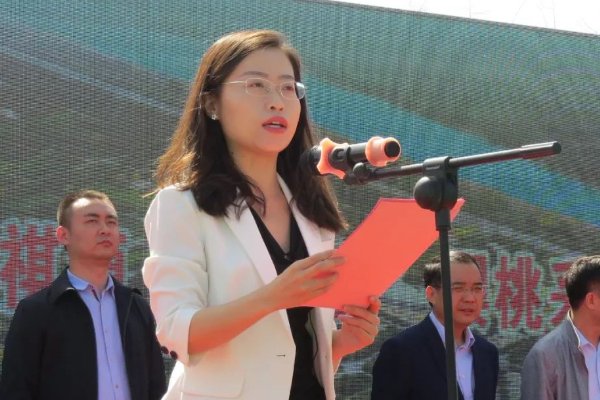 全国90后最年轻女县长是谁