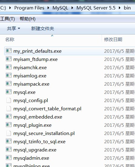 bin文件夹是什么意思啊？