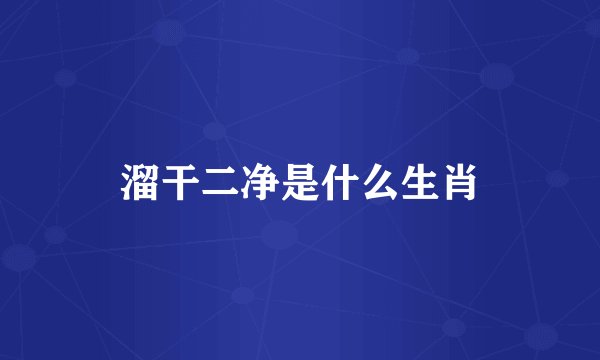 溜干二净是什么生肖