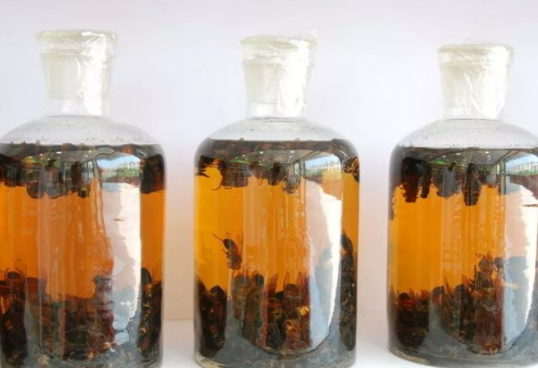 茅台镇十大劣质酒