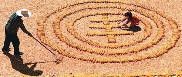 官方鼓励人民“藏粮于民”的内容是什么？