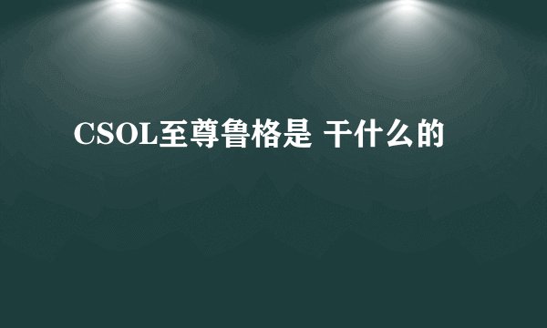 CSOL至尊鲁格是 干什么的