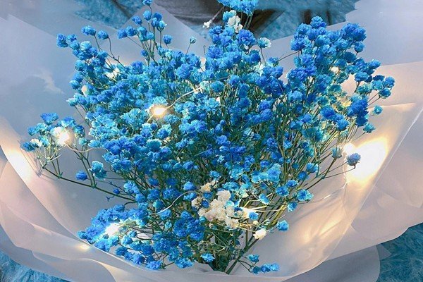 满天星送老师的寓意