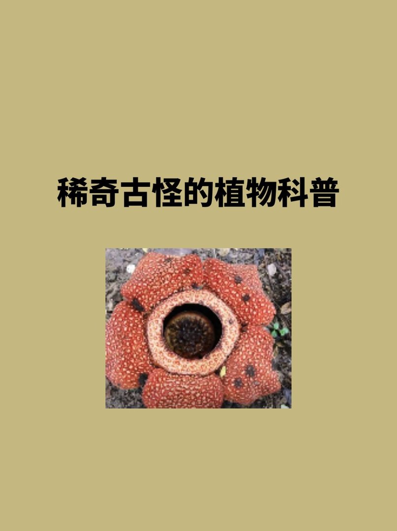 稀奇古怪的植物科普