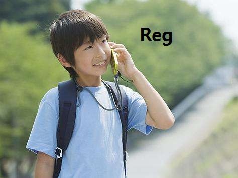 Reg 的人名中文翻译