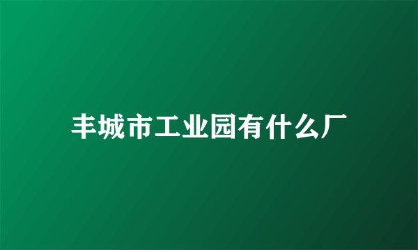 丰城市工业园有什么厂