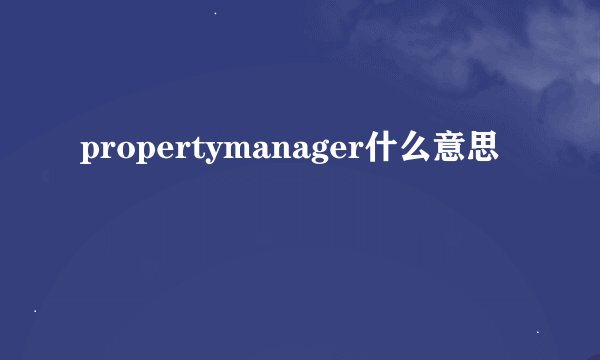 propertymanager什么意思