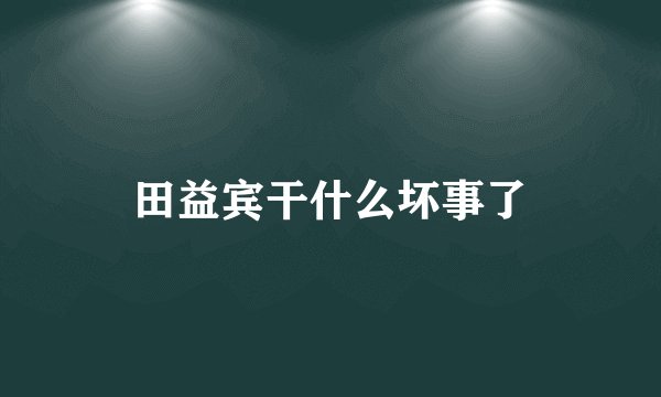 田益宾干什么坏事了