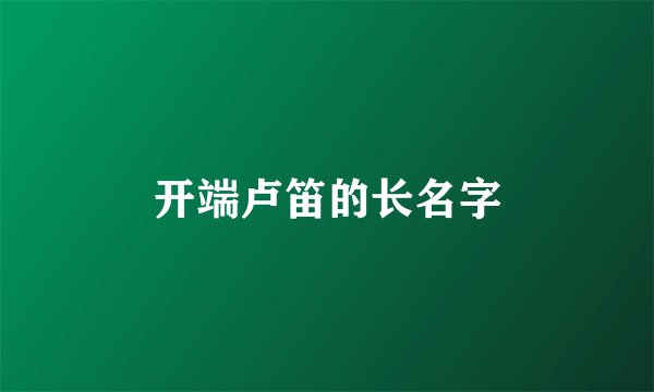 开端卢笛的长名字