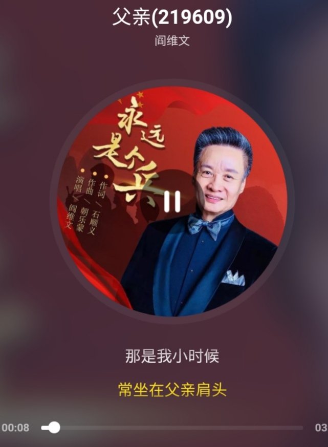 那是我小时候常坐在父亲肩头是什么歌，什么歌曲的歌词