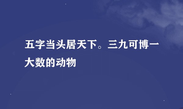 五字当头居天下。三九可博一大数的动物