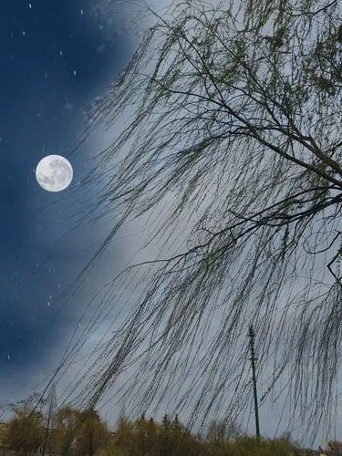 “月上柳梢头，人约黄昏后”的意思是什么？