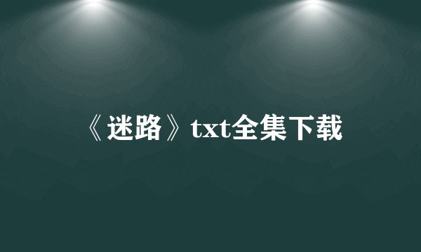 《迷路》txt全集下载