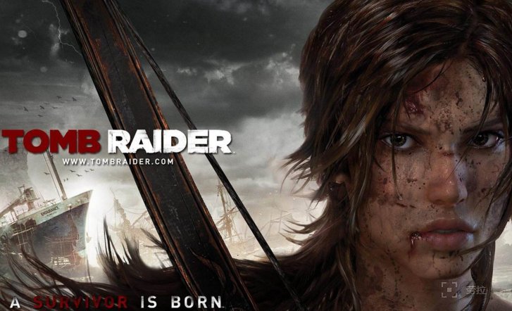 古墓丽影电影一共有几部