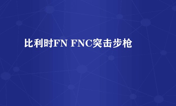 比利时FN FNC突击步枪