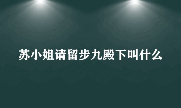 苏小姐请留步九殿下叫什么