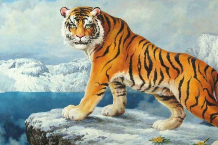 临危不惧的动物猜一生肖