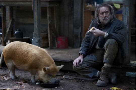 猪杀电影在哪里可以看