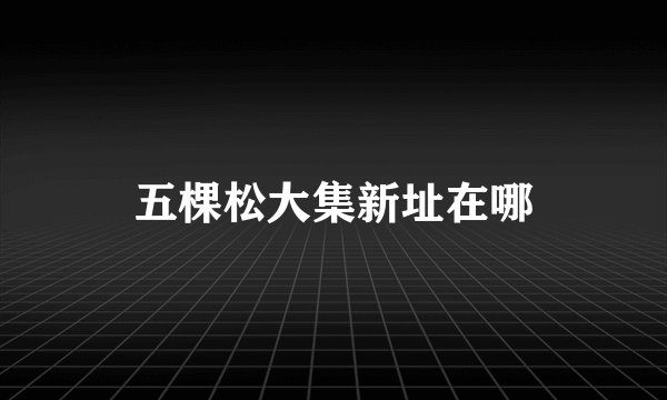 五棵松大集新址在哪
