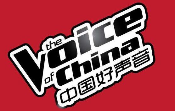 求《中国好声音》华少台词