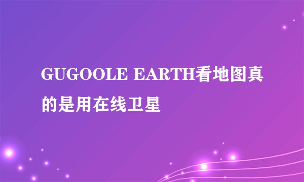 GUGOOLE EARTH看地图真的是用在线卫星
