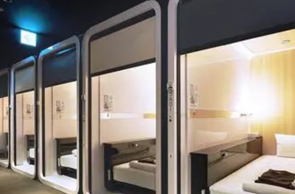 上司xl未增删带翻译