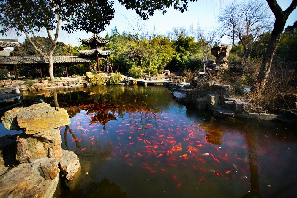 扬州个园是如何从山，石，水，植物等方面的综合配置来营造四季景观意境的？