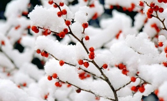 2021年没有秋天是什么意思