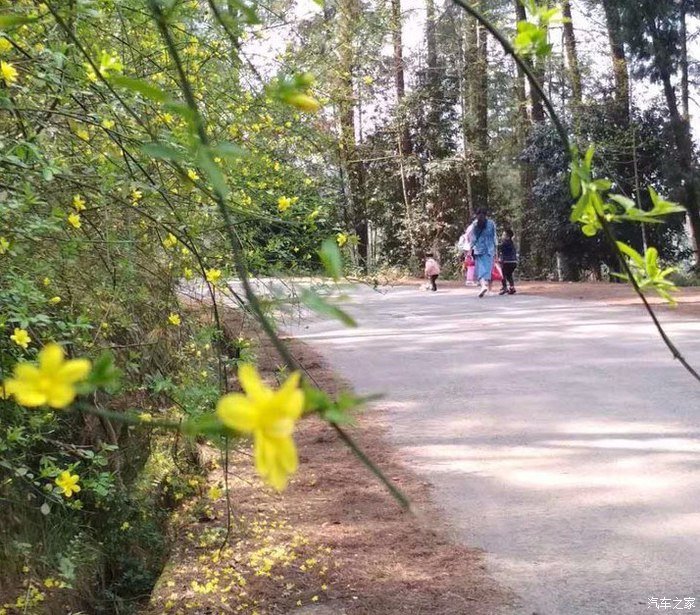 春暖花开、奔你而来、和睿骋CC有个约会！