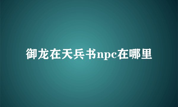 御龙在天兵书npc在哪里