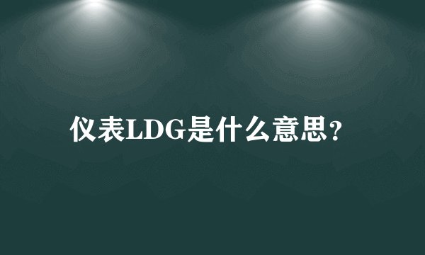 仪表LDG是什么意思？