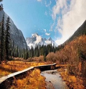 :阳春白雪是什么生肖