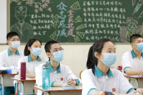 植物妈妈传播种子的方法仿写